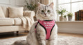 Custom Personalized Cat Harness Vest - Breathable Mesh Pet Vest with Name & Text