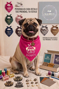 Custom Pet Bandana